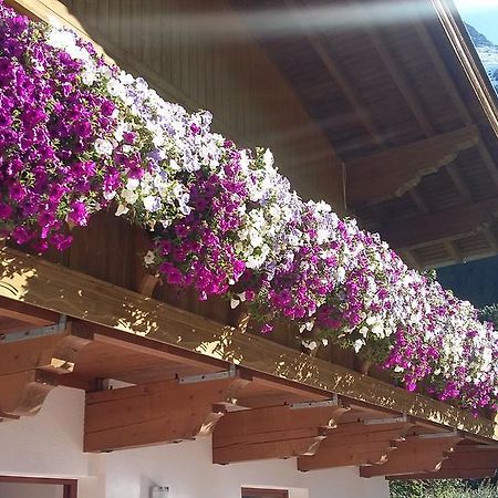 S' Ludwign Haus Daire Sankt Leonhard im Pitztal Dış mekan fotoğraf