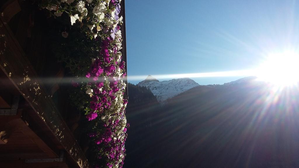 S' Ludwign Haus Daire Sankt Leonhard im Pitztal Dış mekan fotoğraf